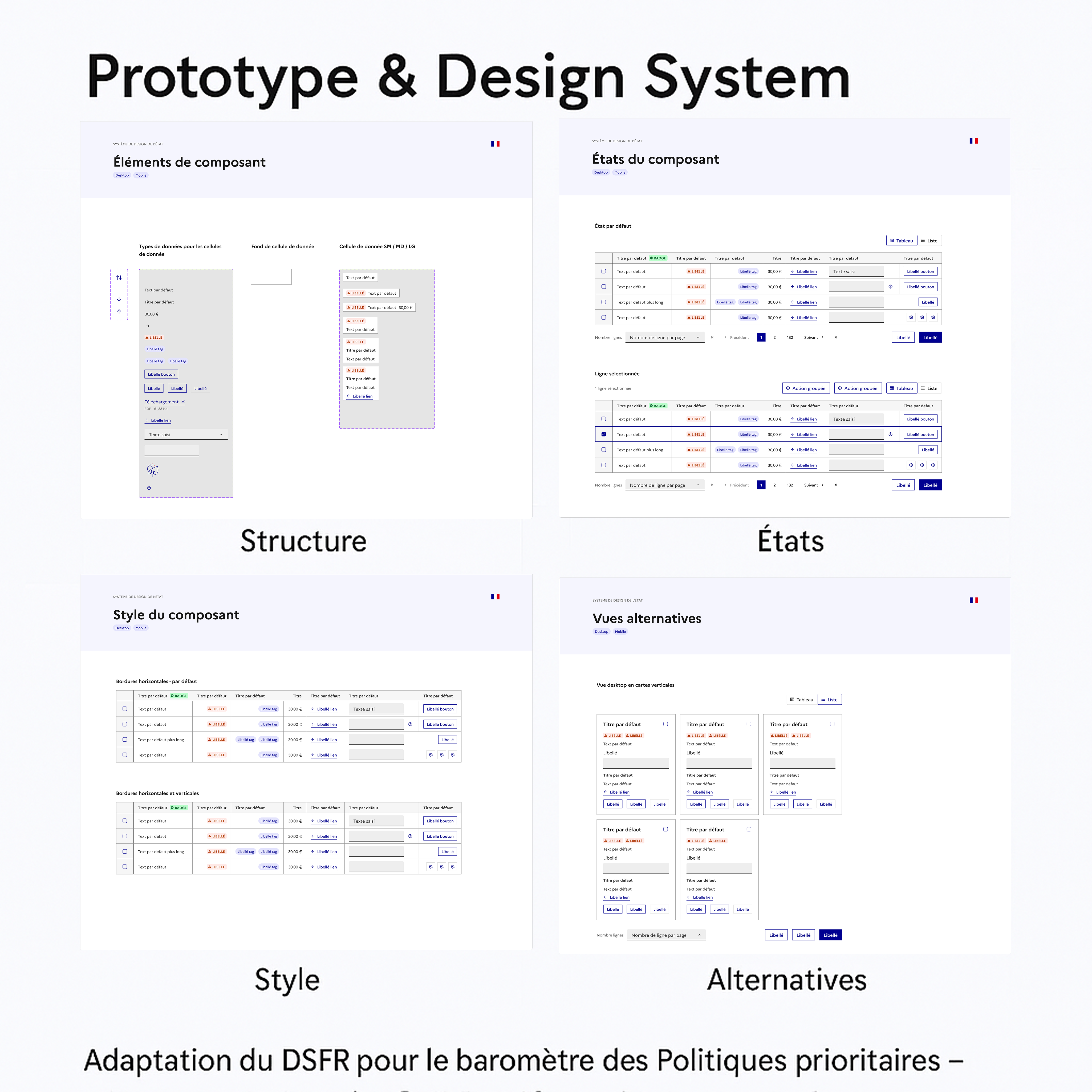 Design System - Adaptation DSFR pour Politiques Prioritaires